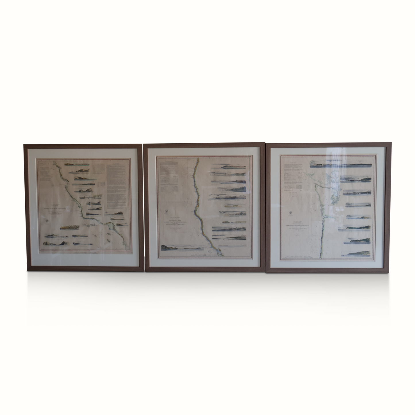 Cartes encadrées de la West Coast Geological Survey de la fin du XIXe siècle