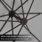 10ft Steel Crank Lift Hanging Offset Cantilever Umbrella