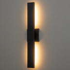 C Cattleya 2-Light Matte Black Aluminum LED Outdoor Wall Sconce