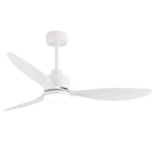 Ventilateur de plafond à DEL de 52 pouces avec télécommande (3 pales)