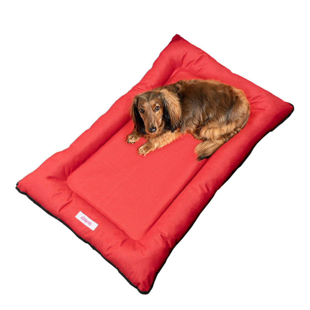 Archie Traditional Oxford Waterproof Indoor/Outdoor Hand-Washable Memory Foam Camping Pet Bed