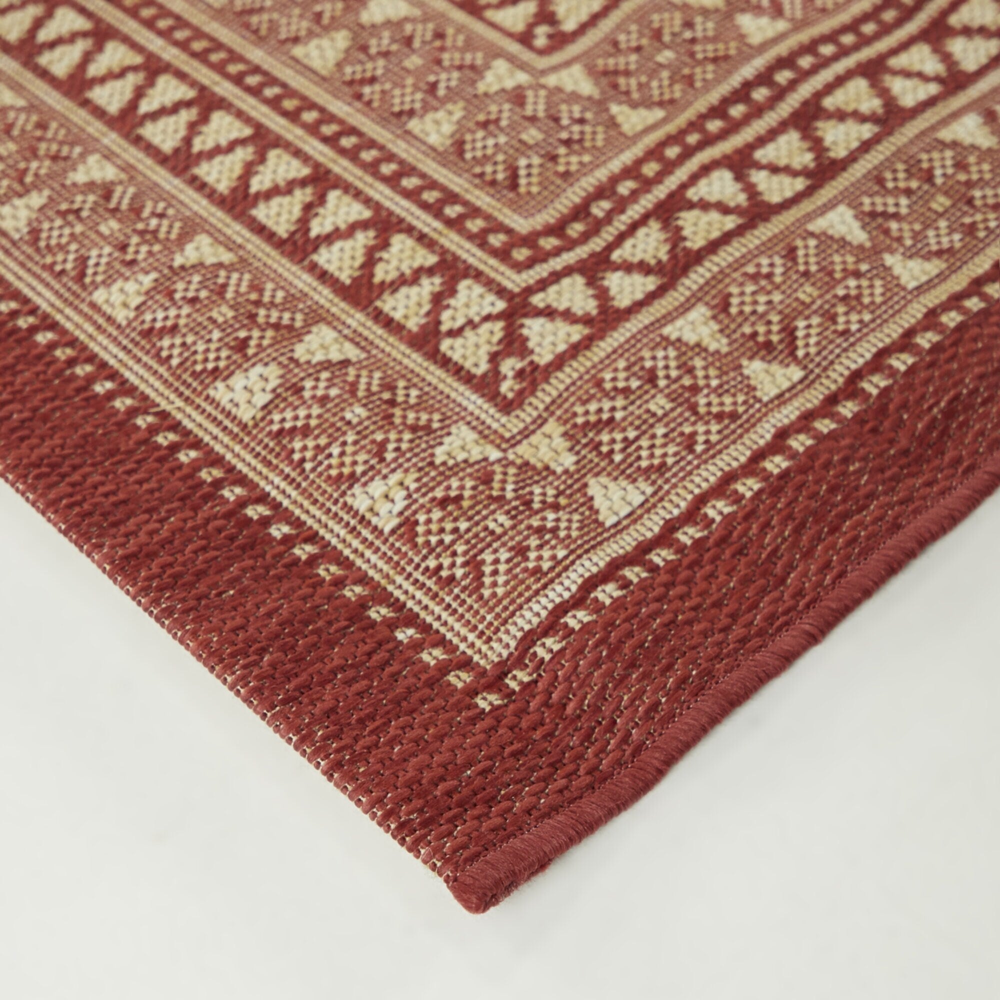 Carew Transitional Border Indoor/Outdoor Area Rug