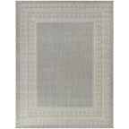 Carew Transitional Border Indoor/Outdoor Area Rug