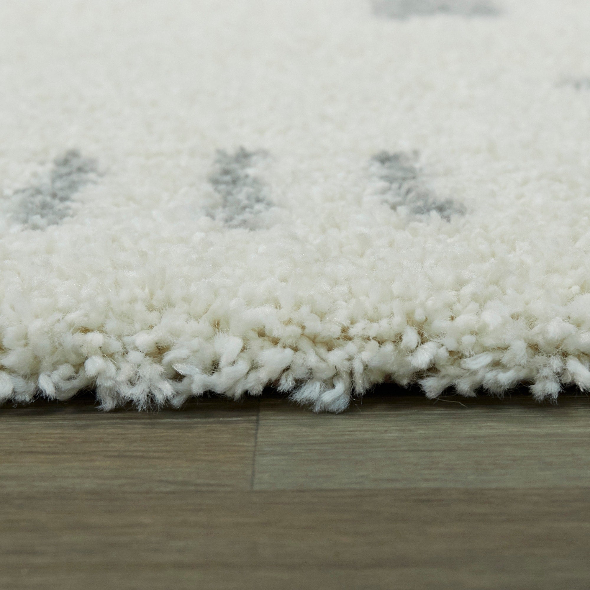 Carson Shag Area Rug