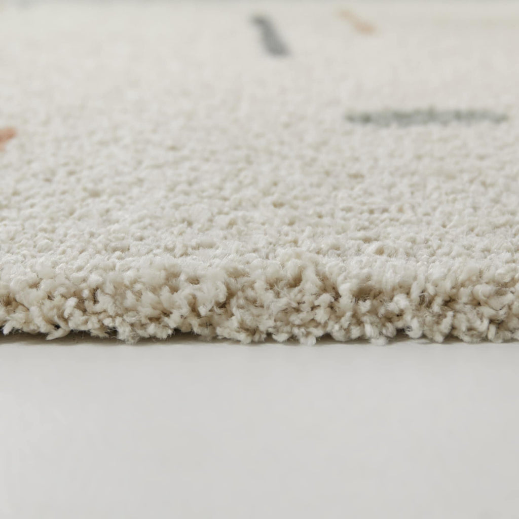 Carson Shag Area Rug