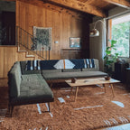 Carson Shag Area Rug