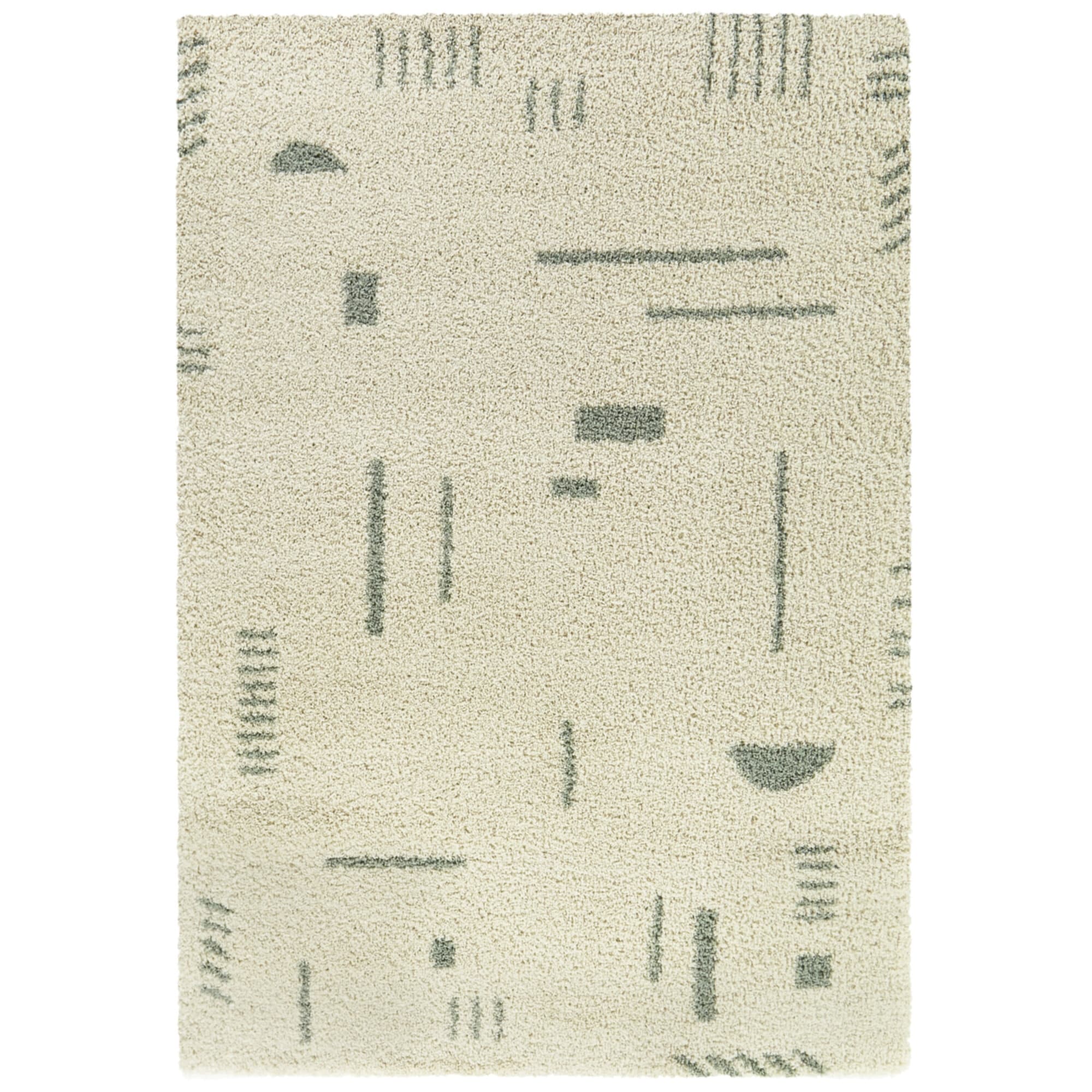 Carson Shag Area Rug