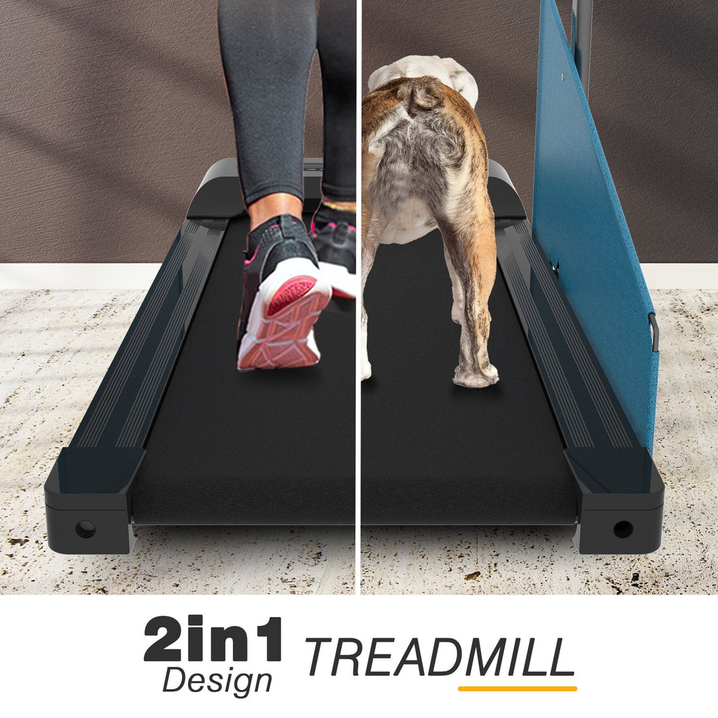 Tapis roulant pour chien avec affichage LED