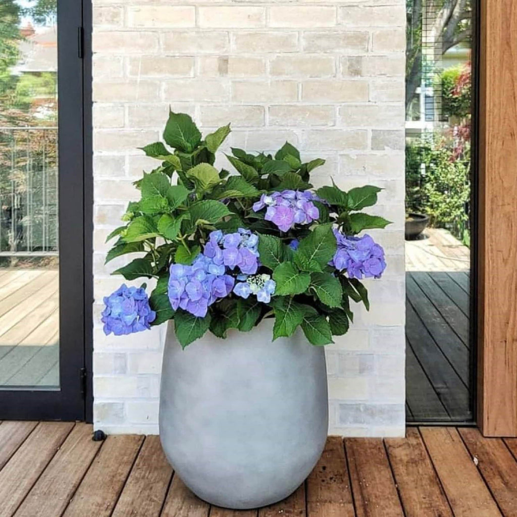DreamPatio La Mirada 1-piece Fiberstone Tapered Planter for Indoor/Outdoor