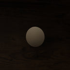 Dual-Compartment Cat Litter Box Enclosure Multi-Functional Furniture