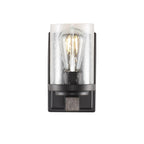 Ferme Iron/Seeded Glass Rustic Farmhouse LED Vanity Light, by JONATHAN Y