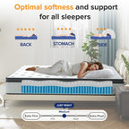 Matelas hybride en mousse à mémoire de forme SweDrea de 12 po de taille moyenne avec CertiPUR-US et Oeko-TEX, doté d'une absorption au charbon de bambou.