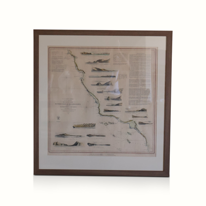 Cartes encadrées de la West Coast Geological Survey de la fin du XIXe siècle