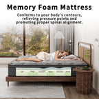 Matelas hybride Modland 14 pouces à plateau-coussin moyen, matelas à ressorts ensachés dans une boîte