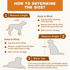 Cage pour chien élégante et robuste avec renfort en tube de fer