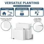 Jardinières rectangulaires en béton de grande taille / Grandes jardinières d'intérieur et d'extérieur