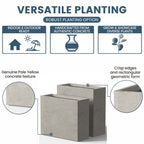 Jardinières rectangulaires en béton de grande taille / Grandes jardinières d'intérieur et d'extérieur