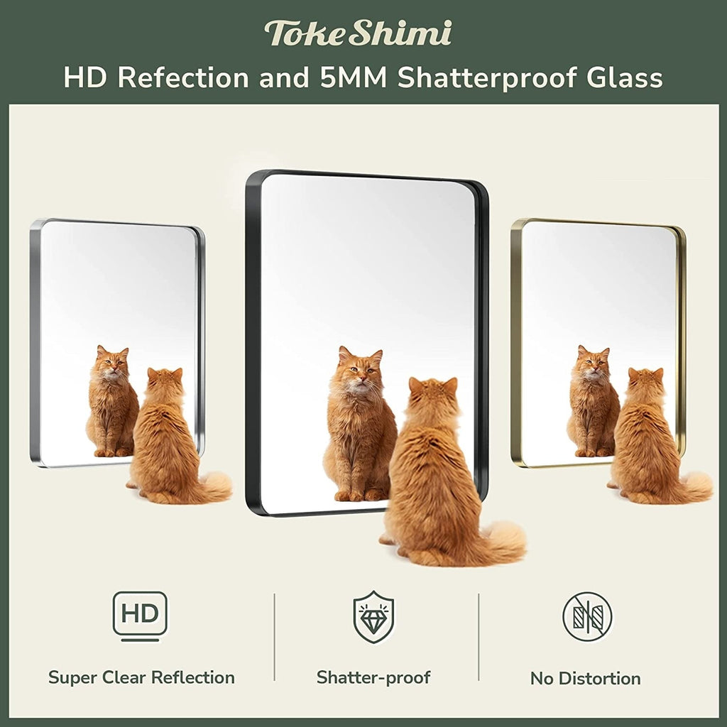 Miroir mural de salle de bain moderne à cadre en métal TokeShimi